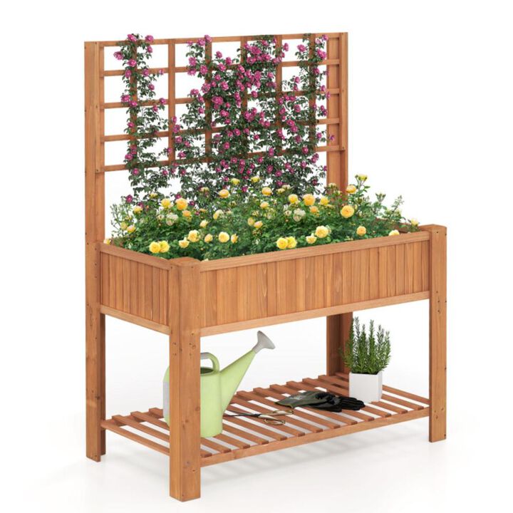 Hivvago Raised Garden Bed with Trellis Wooden Elevated Planter Box with Legs