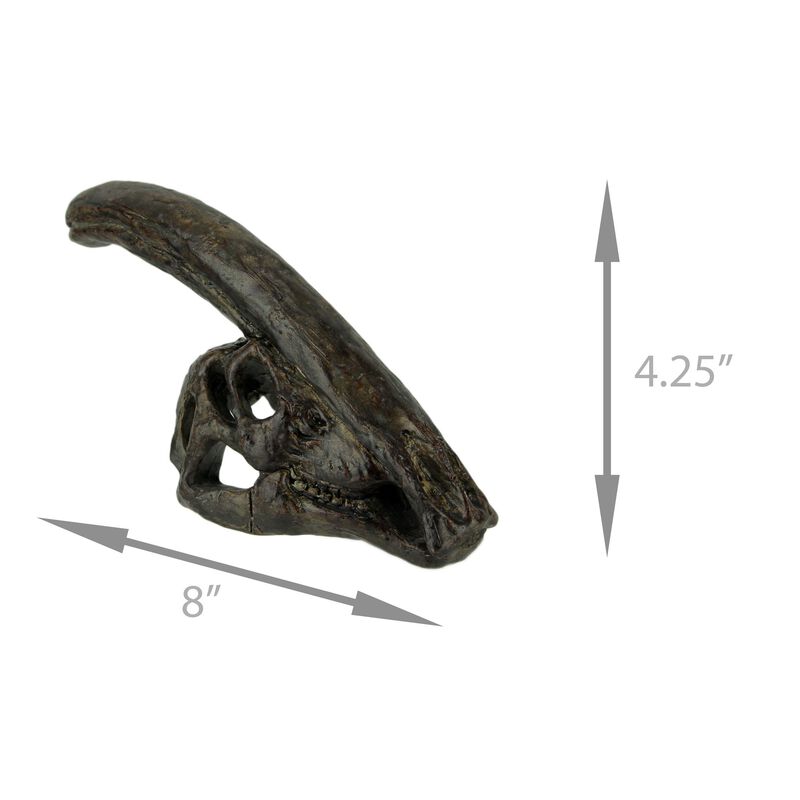 8 In Parasaurolophus Dinosaur Skull Fossil Resin Statue Home Office Decor image number 3