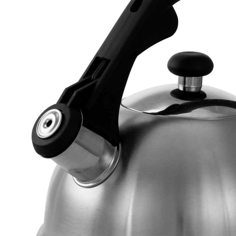 Mr. Coffee Claredale 2.2 Quart Brushed Stainless Steel Whistling Tea Kettle with Nylon Handle