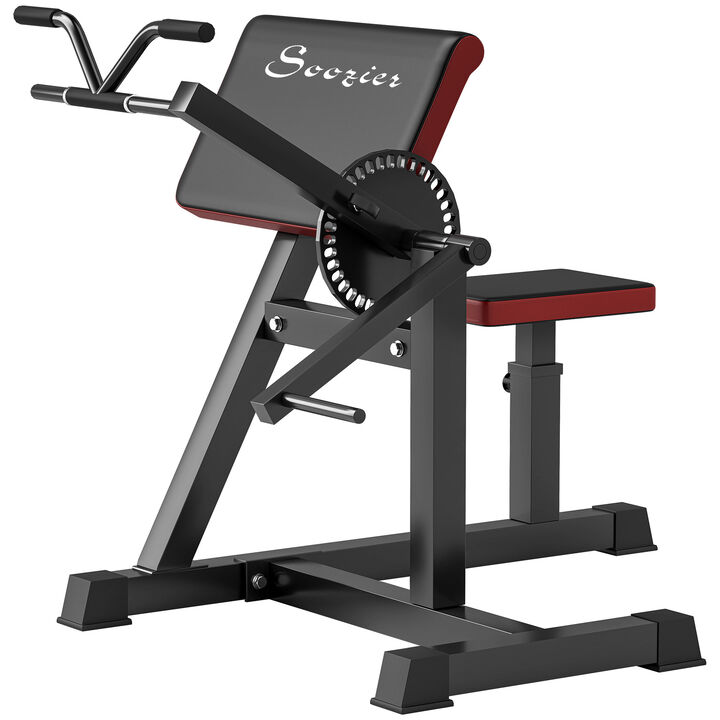 Hivvago Adjustable Preacher Curl Bench for Arm Workouts