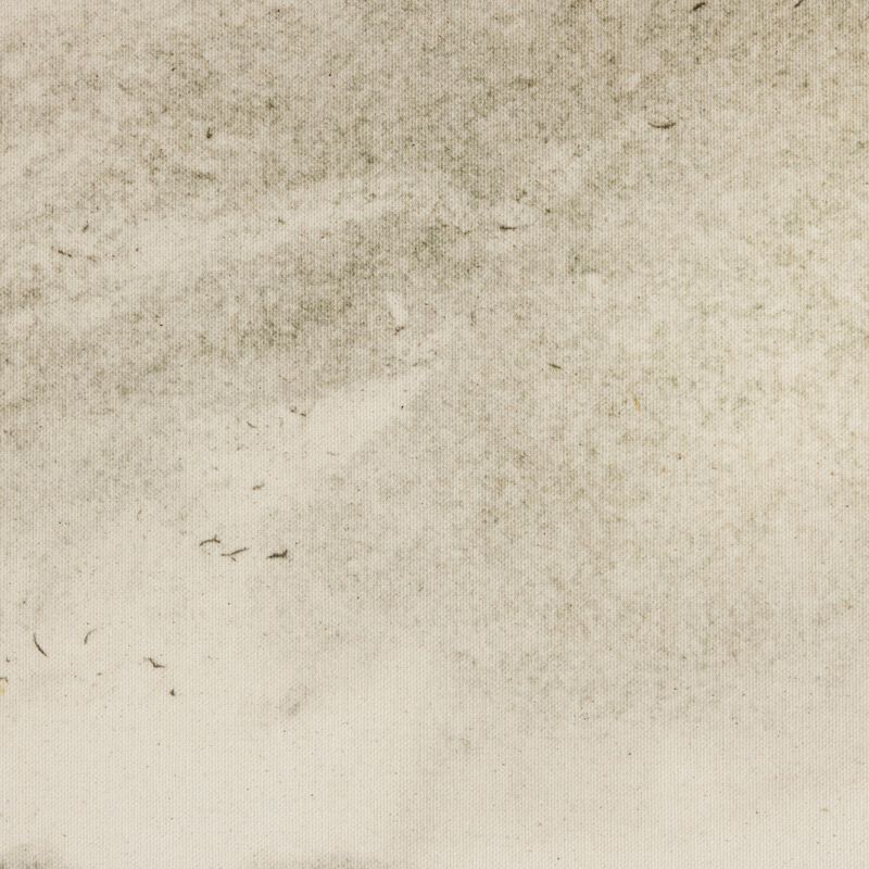 Meadow By Dan Hobday