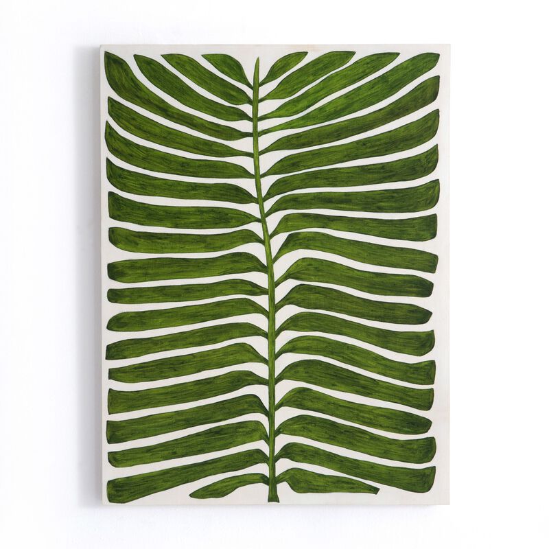 Deplazium by Marianne Hendriks