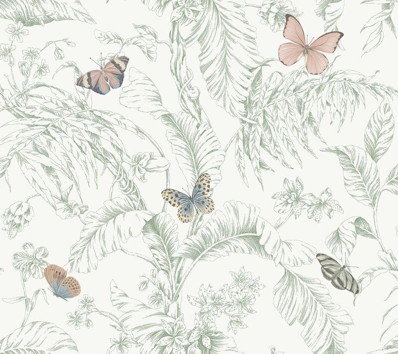Papillon Blush Wallpaper image number 0