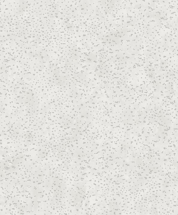 Lustre Spot Silver Grey Wallpaper DWP0019-05