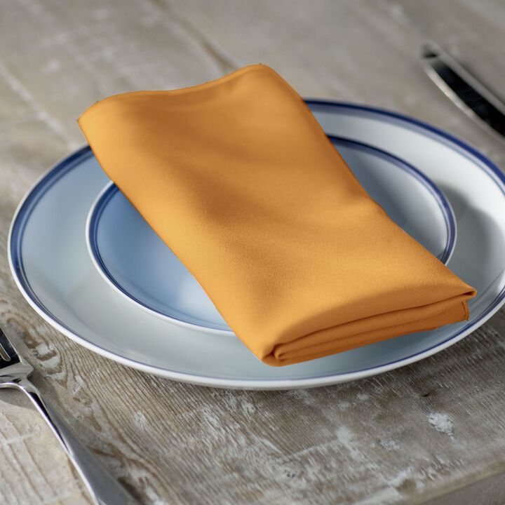 Polyester Poplin Cloth Napkins 18 by 18 Inch, Pack of 10 for Parties
