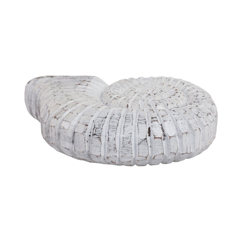9" Wooden Snail Decor, Wht image number 5