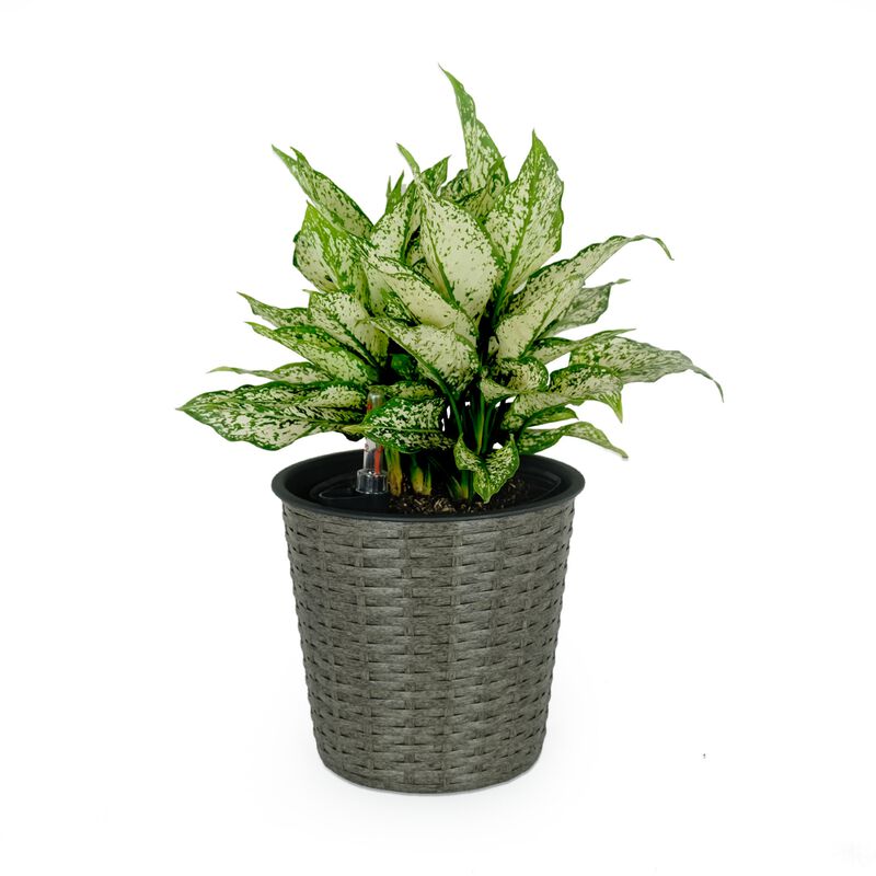 10.2" Self-watering Wicker Decor Round Planter for Indoor and Outdoor image number 6