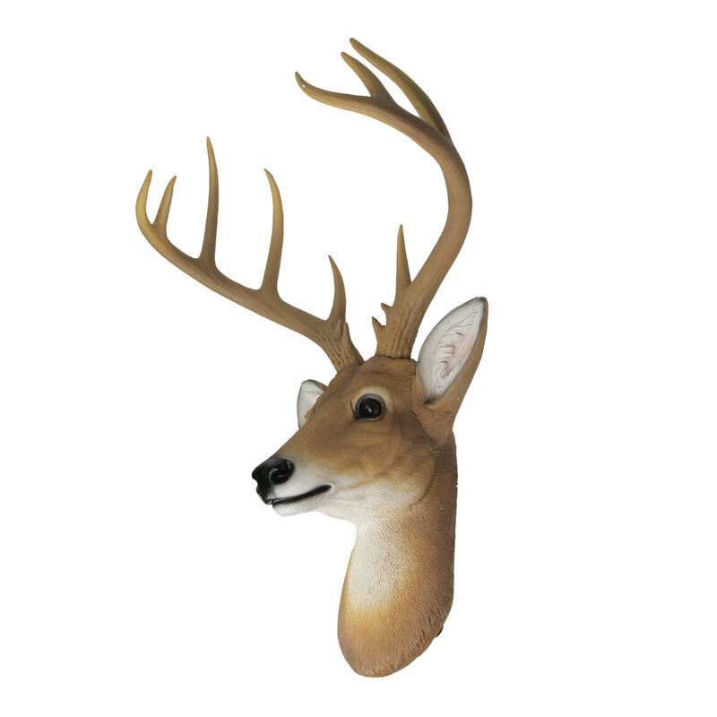 12 Point Buck Deer Head Bust Wall Hanging image number 2