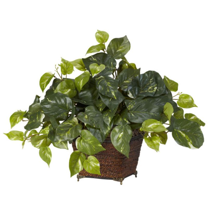 Hivvago Pothos w/Coiled Rope Planter Silk Plant