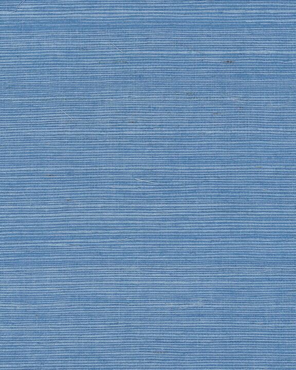 Maguey Sisal Azure Wallpaper