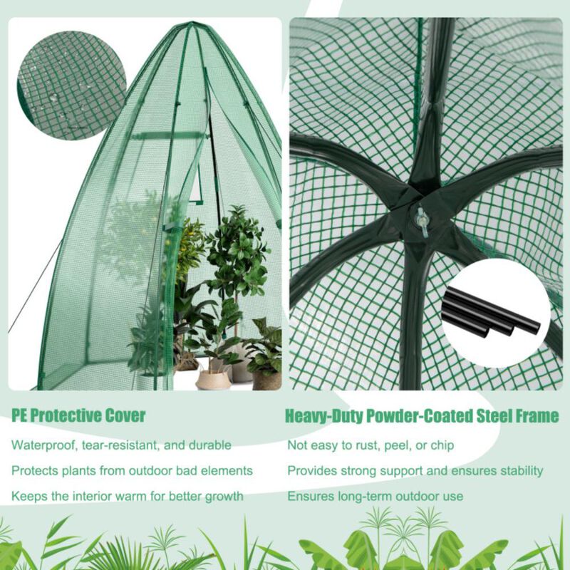 Hivvago 5.5 x 5.5 x 6 Feet Portable Mini Greenhouse with All-Weather PE Cover