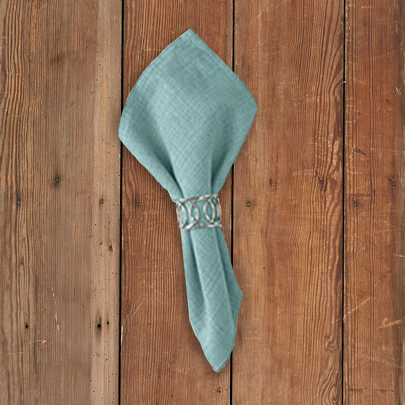 Park Designs Blue Casual Classics Napkin Set of 4 image number 1