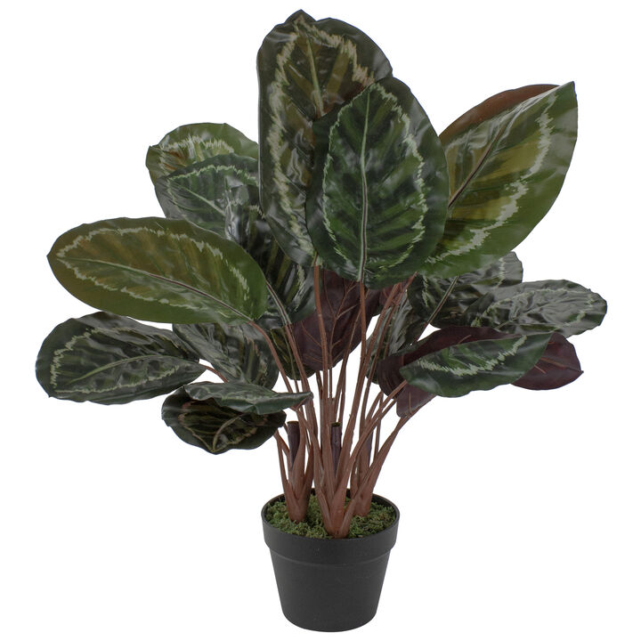 30" Artificial Large Green Leaf Calathea Potted Plant