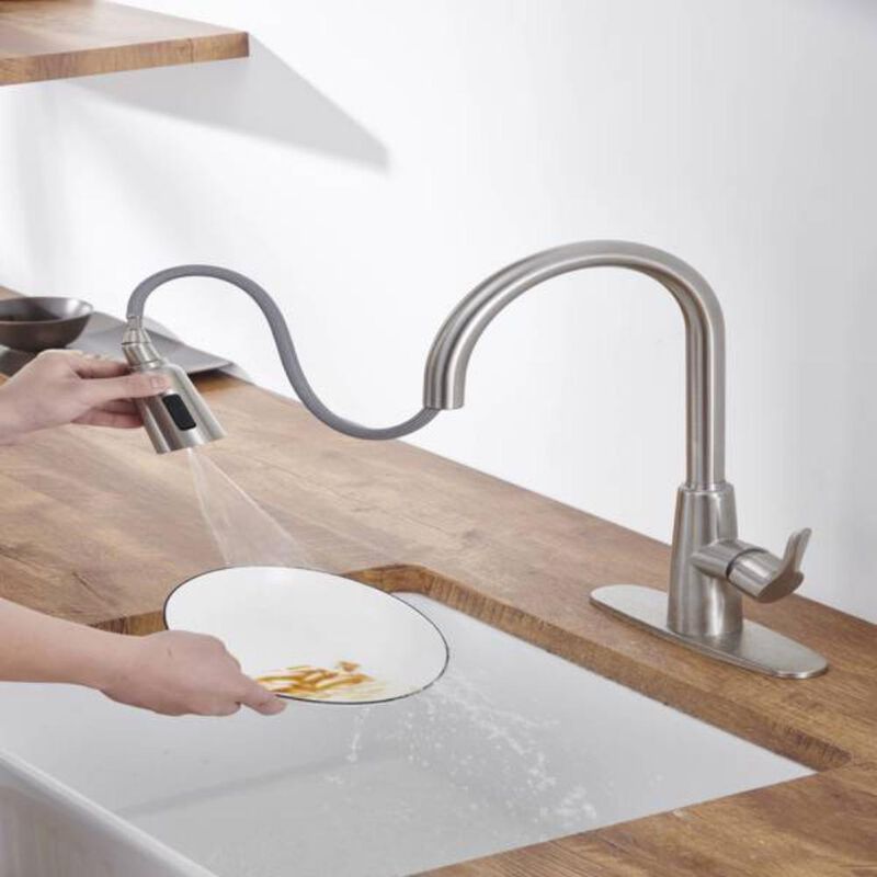 Brushed Nickel Kitchen Sink Faucet with Pull-Out Sprayer