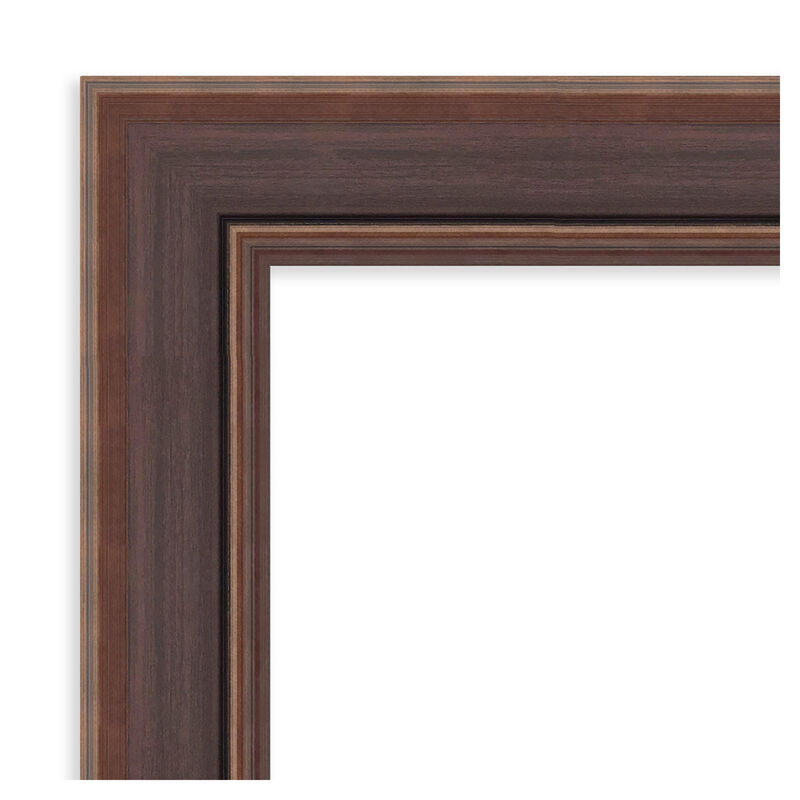 Moab Brown Bronze Beveled Framed Wall Mirror image number 3
