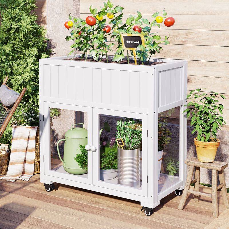 Wood Cold Frame with Raised Garden Bed & Wheels, 2-Door Greenhouse for Indoor/Outdoor Use