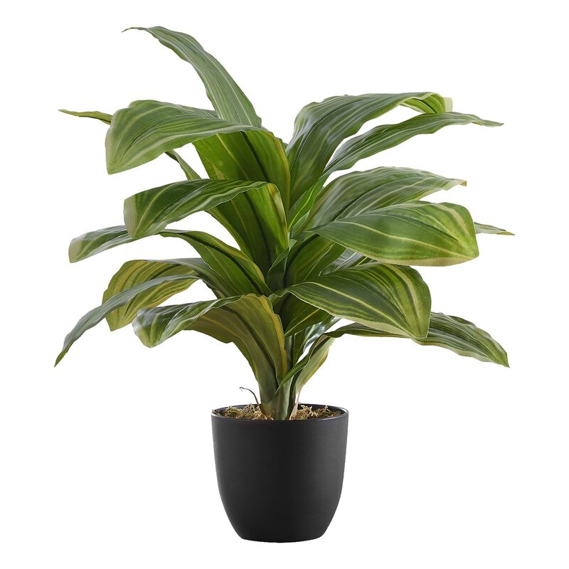 Monarch Specialties I 9573 - Artificial Plant, 17" Tall, Dracaena, Indoor, Faux, Fake, Table, Greenery, Potted, Real Touch, Decorative, Green Leaves, Black Pot image number 0