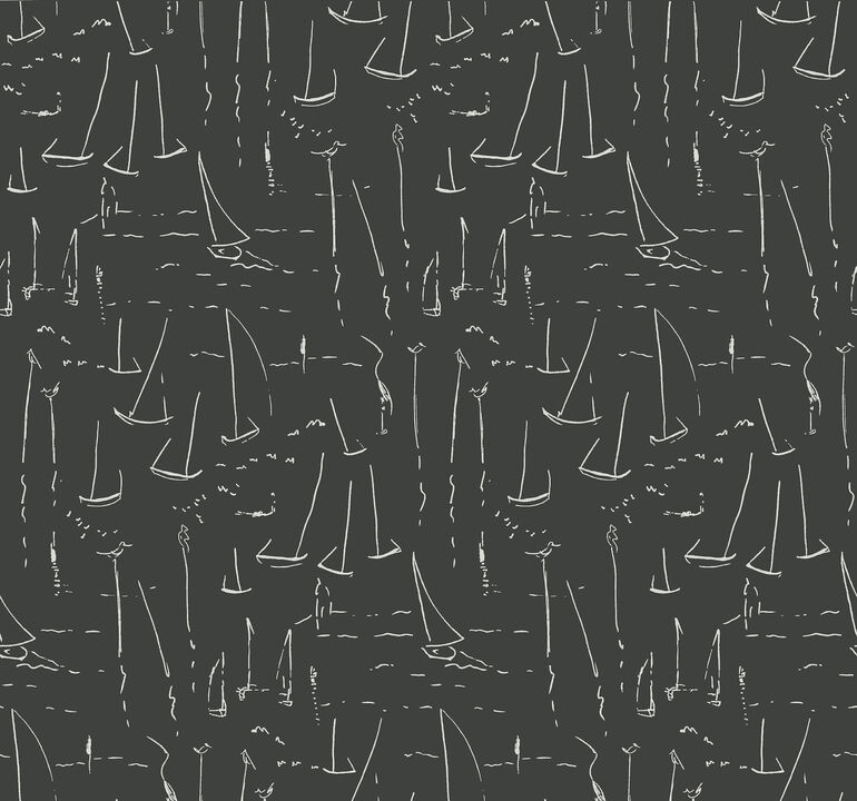 Vermillion Coast Carbon Black Wallpaper