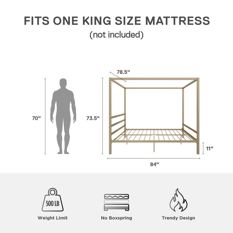 Modern Canopy Metal Bed, Queen, Gold