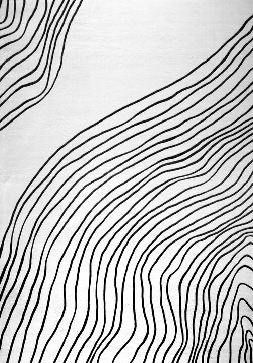 Eclipse Minimalist Abstract Zebra Print White Black Indoor Soft Area Rug