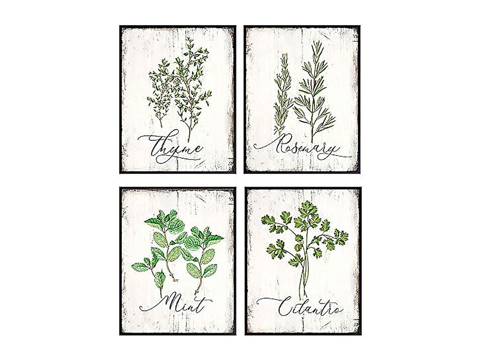 Botanical Herbs Spices Kitchen Decor Dining Larousse Gastronomique Wall Art Cafe