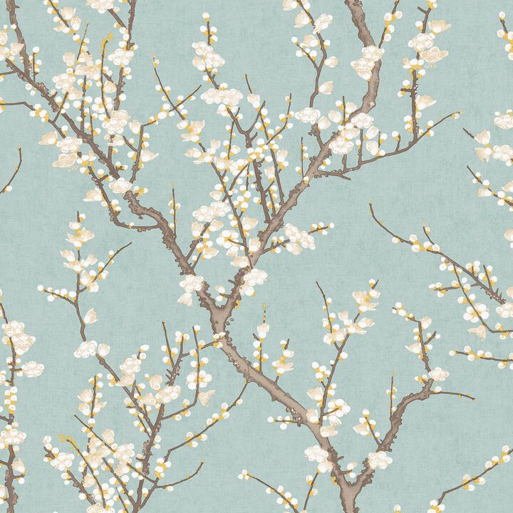 Spring Blossom Sakura Tree Blue Wallpaper 1903-1