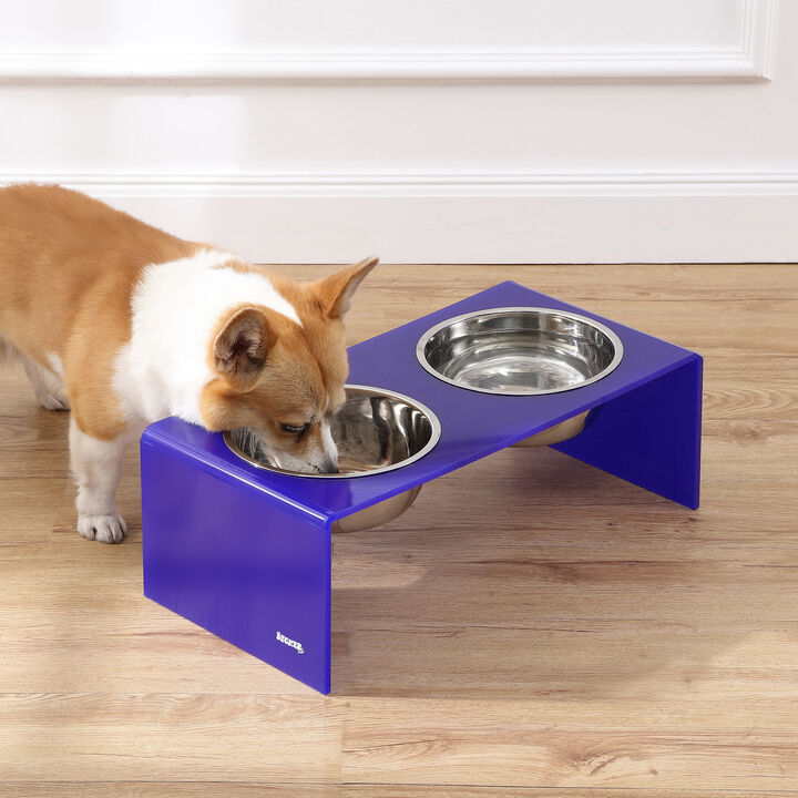 Keaton Modern Acrylic Rectangular Elevated Pet Feeder with Stainless Steel Bowls