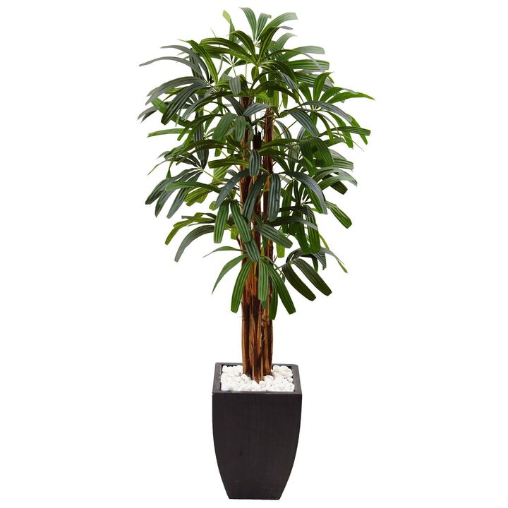 Nearly Natural 5.5-in Raphis Plam Tree in Black Planter