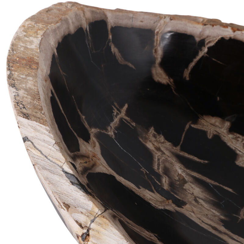 18" Petrified Wood Oval Bowl image number 4