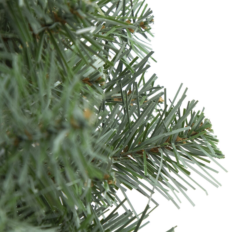 Colorado Blue Spruce Artificial Christmas Wreath  24-Inch  Unlit