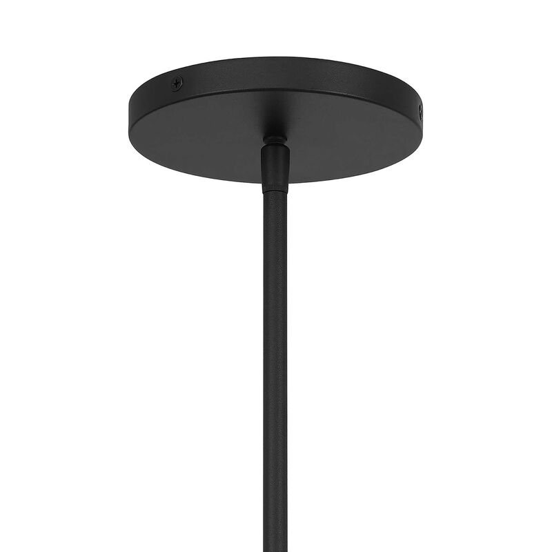 Rondure14 inch Pendant image number 4
