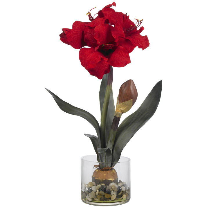 HomPlanti Amaryllis w/Round Vase
