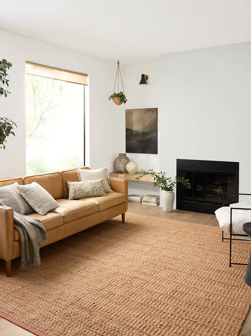 Colton Natural/Clay 10' x 14' Rug