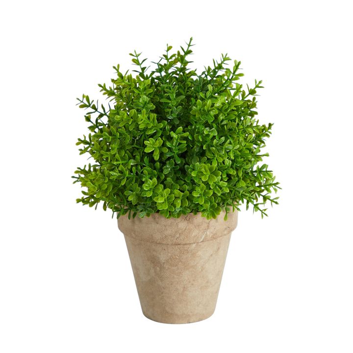 Nearly Natural 8-in Boxwood Artificial Plant in Decorative Planter