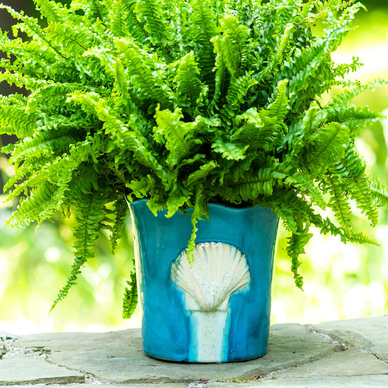 Euro Ceramica Grotto Seashell Scalloped Planter image number 2