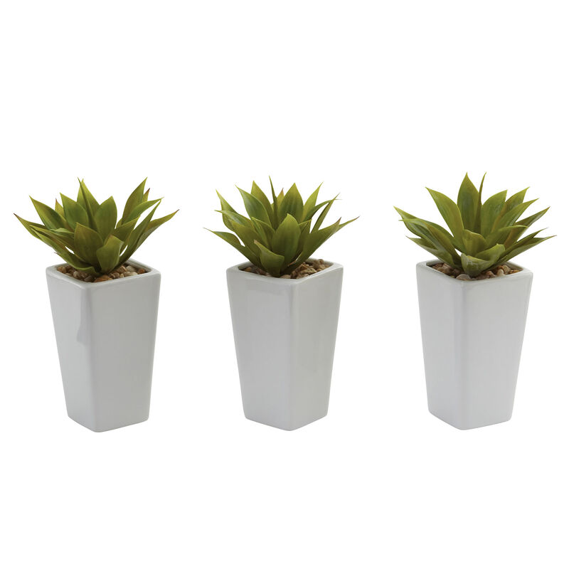 Hivvago Mini Agave w/ Planter (Set of 3) White