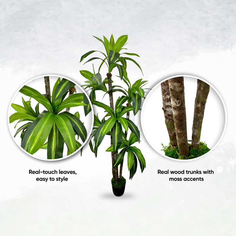 Handmade 6' Artificial Dracaena Tree In Home Basics Starter Pot Made with Real Wood and Moss Accents