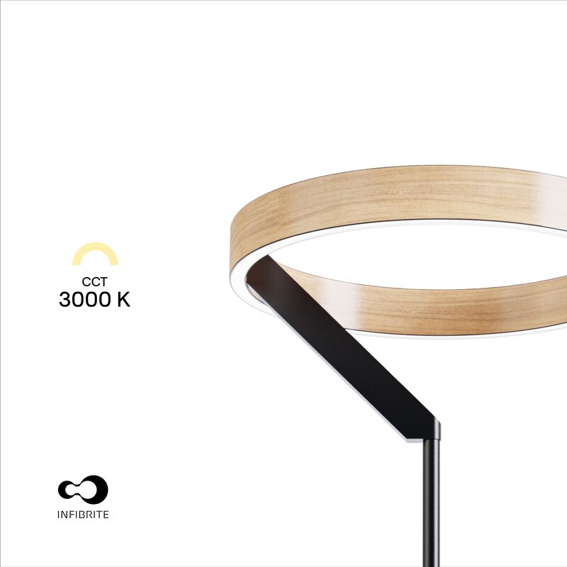 Modern 24W LED Floor Lamp 63 in. - 2700K Warm Light- Angled Design in Matte Black