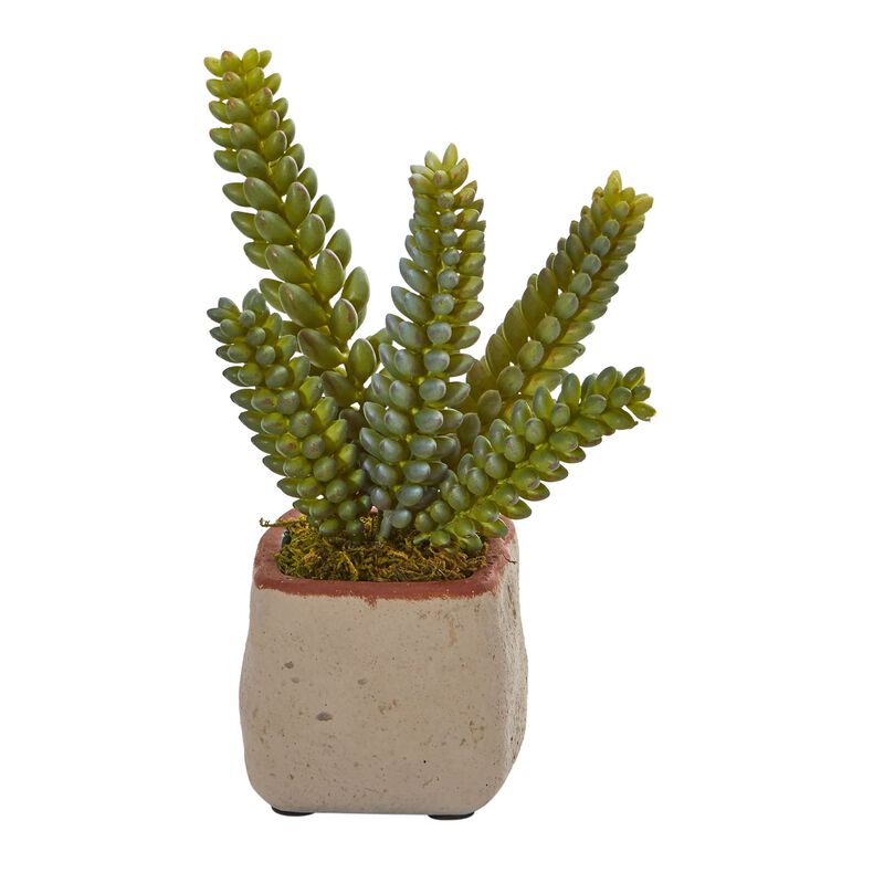 Hivvago Mixed Succulent Artificial Plant (Set of 4)