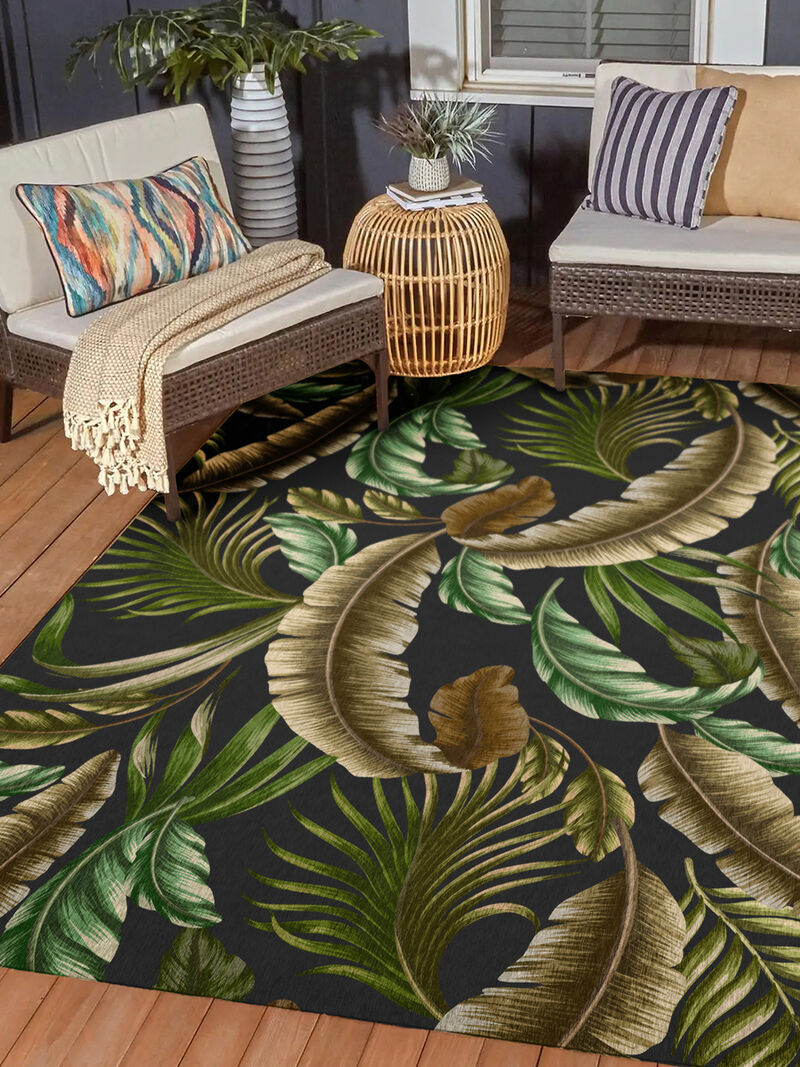 Tropics TC1 Collection