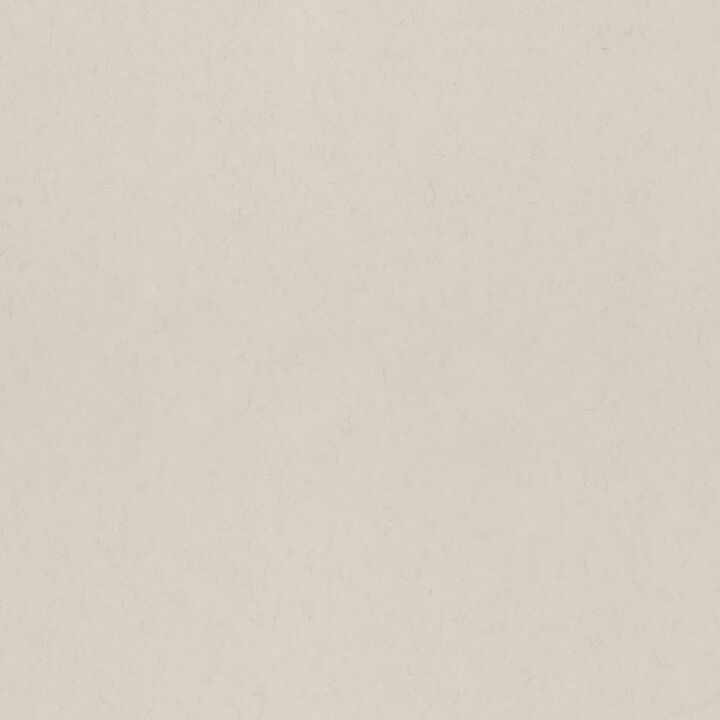 Parget Vide Dove Textured Wallpaper