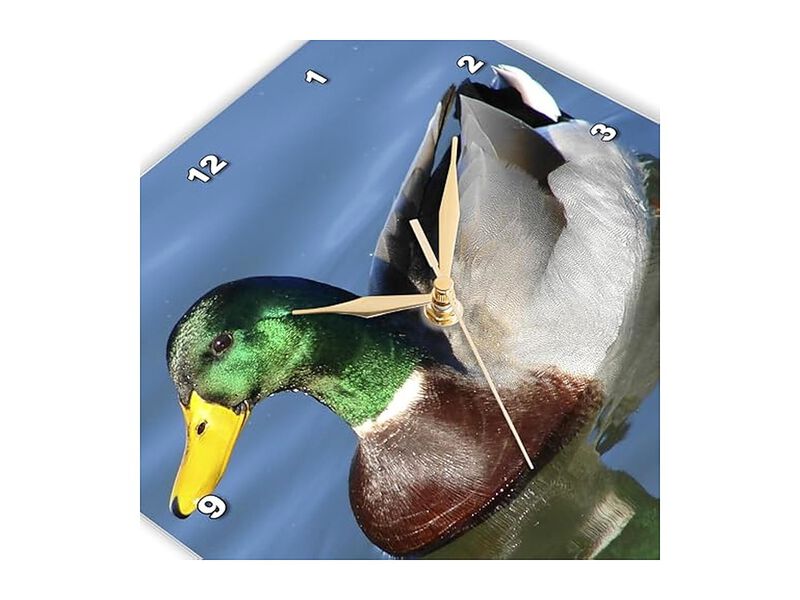 Mallard Drake Wall Clock 10 Inch Home Decor image number 3