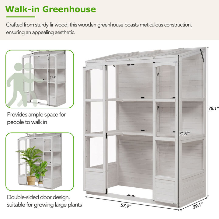 Streamdale 78'' Wooden Greenhouse Cold Frame with Skylights, Shelves
