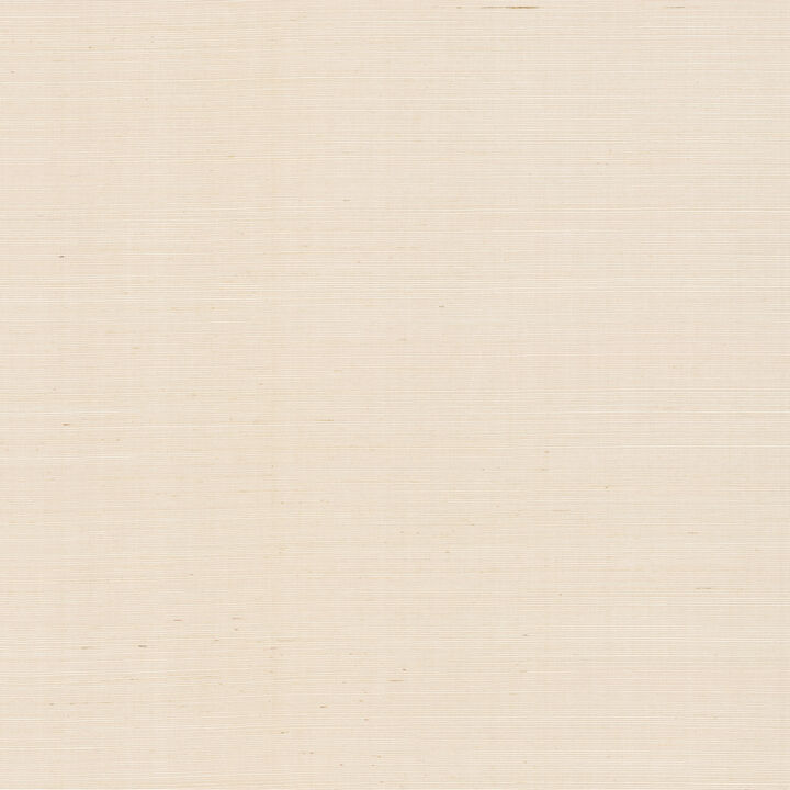 Natural Sisal Plaster Peel & Stick Grasscloth Wallpaper (Set of 2)