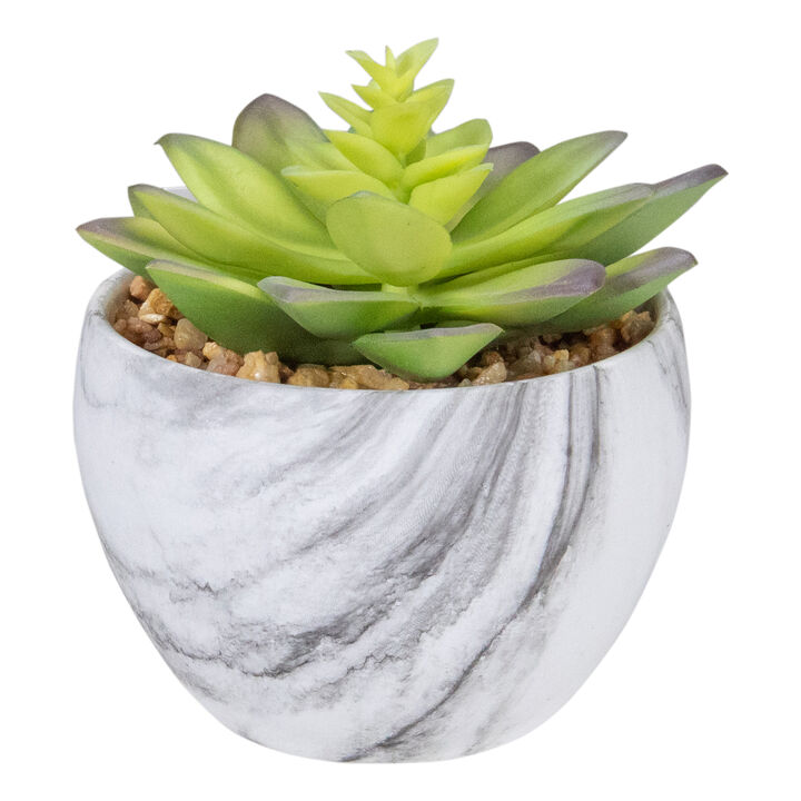 Succulent in Ceramic Pot H 12.7cm