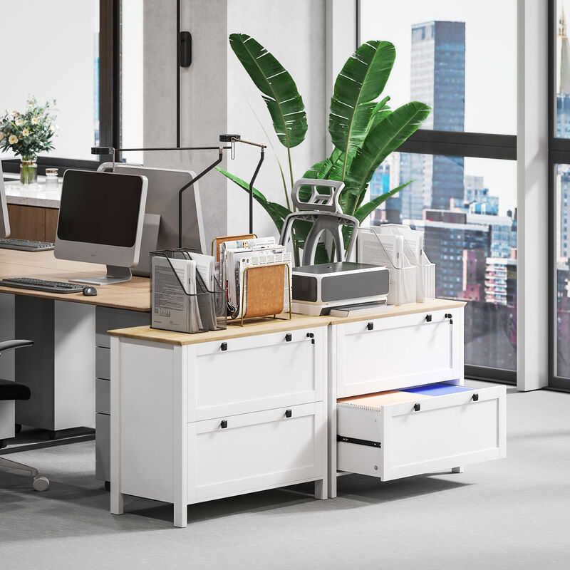 Hivvago 2-Drawer Lateral File Cabinet with Adjustable Hanging Rails image number 6