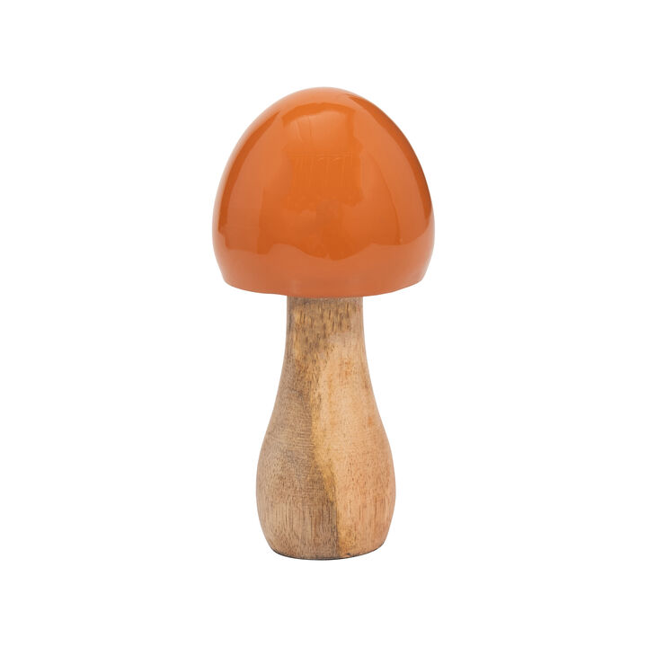 Wood Coned Mushroom