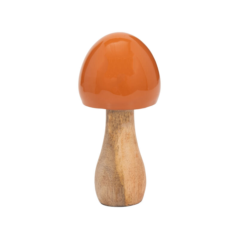 Wood Coned Mushroom image number 0