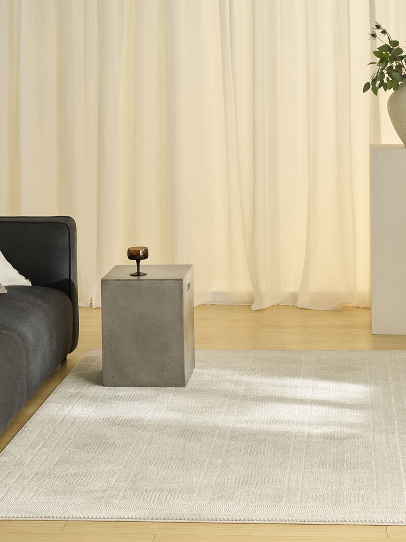 Nordic NRC06 Ivory/Beige 4' x 6' Rug