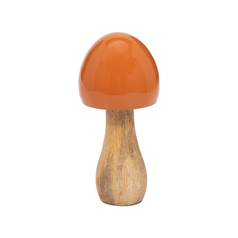 Wood Coned Mushroom image number 1